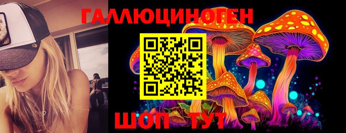 Чебоксары  Псилоцибиновые грибы мухоморы  Вход с VPN 